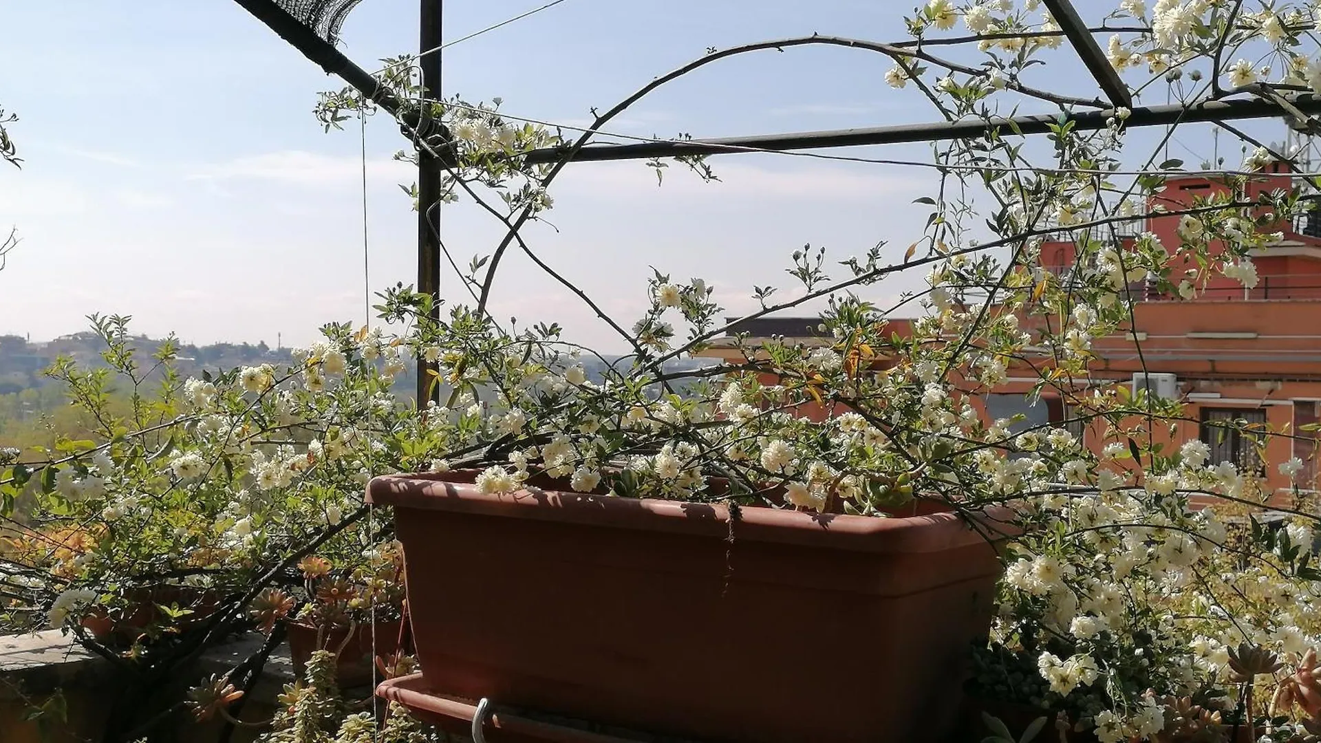 Claudia B&B Roma